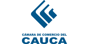 Portal Web Camara de Comercio Popayán