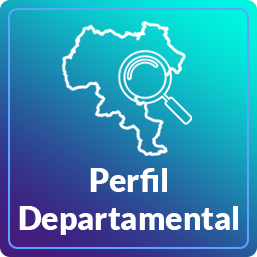 Perfil departamental Cauca