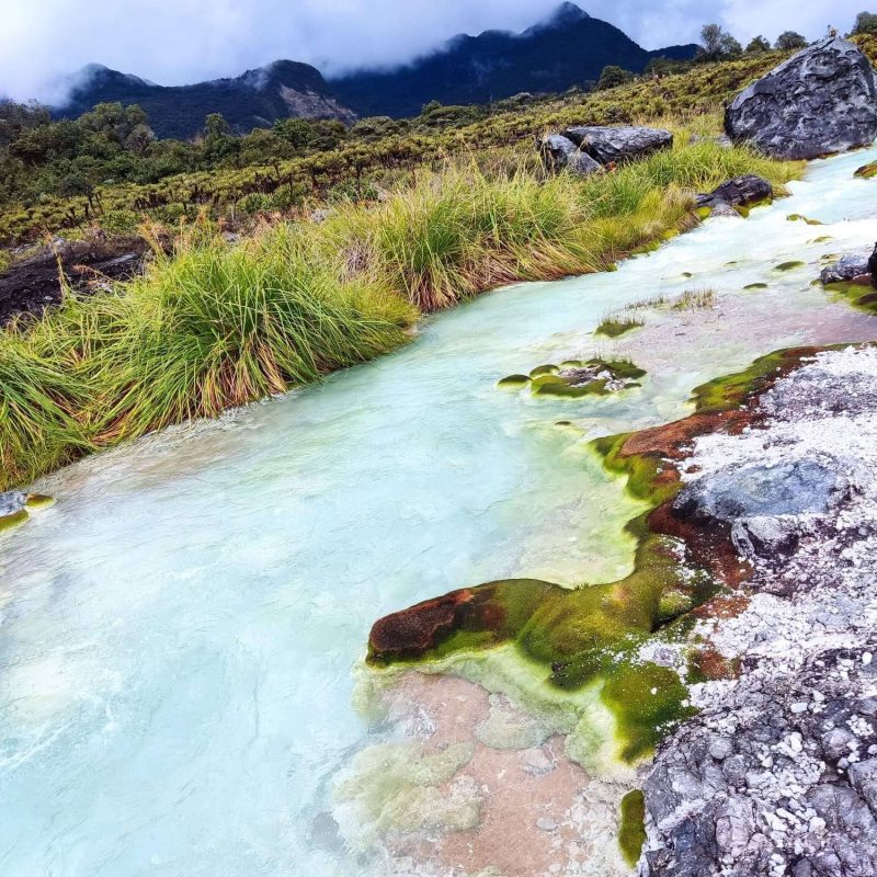 Parque Nacional Natural Puracé – Tángara