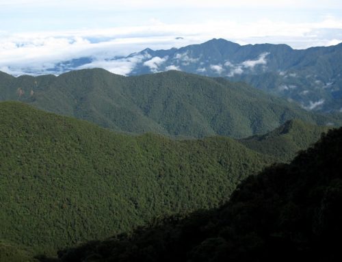 Parque Nacional Natural Munchique