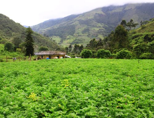 Agroturismo Miranda – Cauca